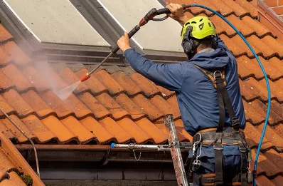 Démoussage et hydrofuge de toiture à Maupas